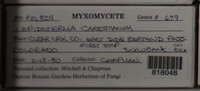 Image Associated With the Occurence